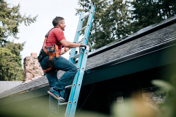 Best Asphalt Shingles Roofing  in Ketchikan, AK